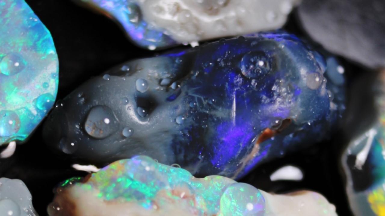 Black Opal Surprise Inside!