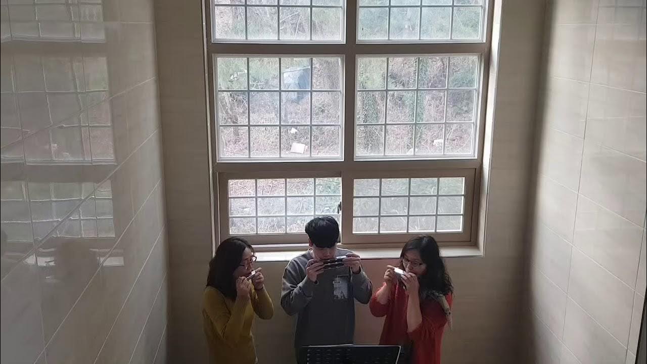 Music Box Dancer(뮤직박스댄서) Harmonica 연주 YouTube