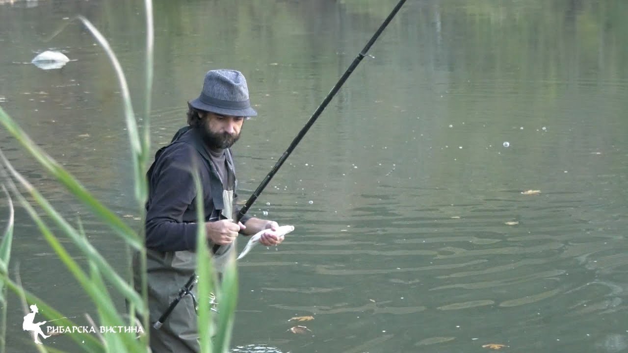 🎣 Риболов на Вардар 1 🐟 #fishing #риболов  🦌🐟 #fishingmacedonia🐟