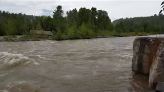 Similkameen River Level Along With Pollen Storm Crazy May 30, 2017