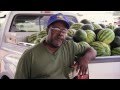 Watermelon Farmers - America's Heartland