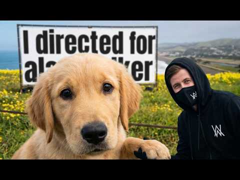 18 year old Directs Official Music Video for Alan Walker