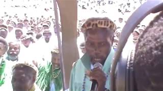 Shembe Rev Mlungwana enyokeni21nov2015