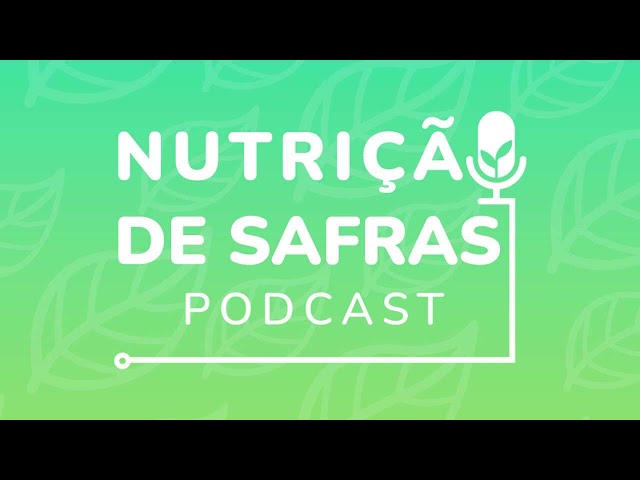 [Especial Safra 24/25] EP.4 - Tecnologias a favor do produtor