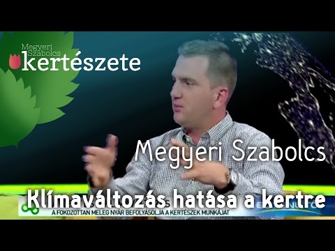 Videó: A Zene Hatása A Növényekre