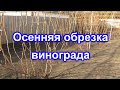 Осенняя обрезка винограда