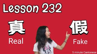 Lesson 232: REAL & FAKE 真與假 (How to say REALLY in Cantonese) #learncantonese