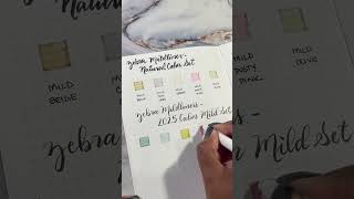 Swatch the 2025 Calm Mild #mildliner set with me. @stationerypal #zebrapen #plannercommunity