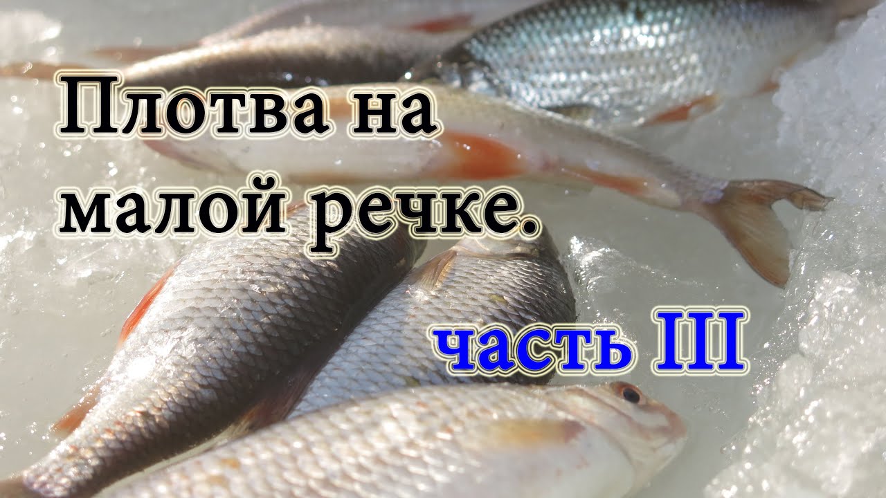 Малая речка. Ловля плотвы на мормышку. Часть третья.