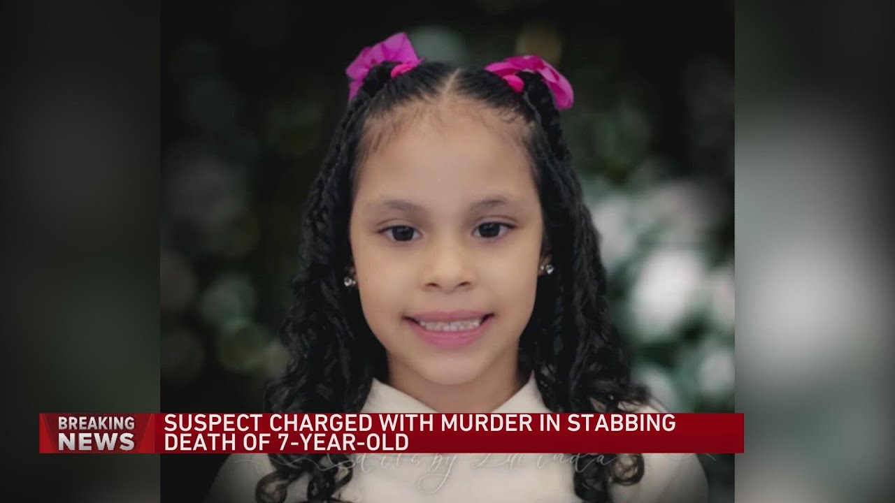 Woman charged with murder after stabbing 7-year-old girl on Chicago’s South  Side