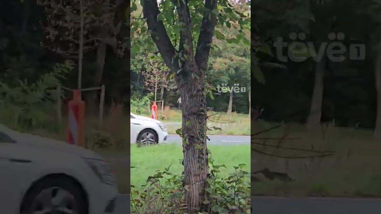 S'ka të ndalur turma e protestuesve drejt vendit ku do të mbahet protesta në Hagë