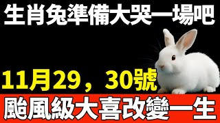生肖兔準備大哭一場吧！11月29，30號，颱風級大喜或將改變你的一生！【般若之音】#生肖 #運勢 #風水 #財運#命理