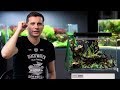 HOW TO BUILD A LOW BUDGET PLANTED TANK