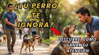 El ERROR Silencioso Que Hace Que Tu Perro NO Obedezca y como empezar a Solucionarlo
