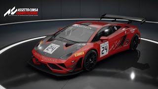 Reiter Engineering R-EX GT3 - 2017 - Brands Hatch - 4K screenshot 2