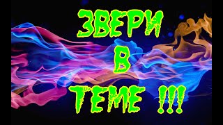ПРИКОЛЫ # 12 /ЛУЧШАЯ ПОДБОРКА ПРИКОЛОВ/РЖАЧ ДО СЛЕЗ ЗА ОКТЯБРЬ - 2018 ГОДА Приколы ПРИКОЛЫ # 12 /ЛУЧШАЯ ПОДБОРКА ПРИКОЛОВ/РЖАЧ ДО СЛЕЗ ЗА ОКТЯБРЬ - 2018 ГОДА Приколы