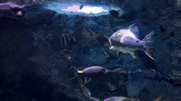 Tame Impala - Nangs (Visualizer)