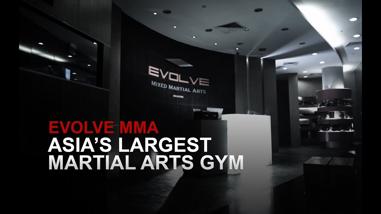 Here's Why The Evolve Fight Team Global Tryouts Is The Greatest Opportunity  In MMA | Evolve Daily