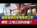 貓闖福德祠用嘴推倒立筊 網笑：土地公派的虎爺？