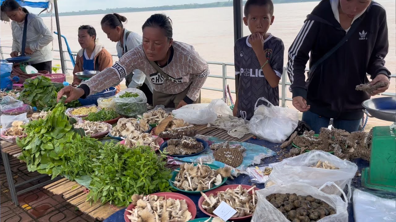 ตลาดนัดของป่า ริมโขงนครพนม เห็ดปลวก หลายคัก 