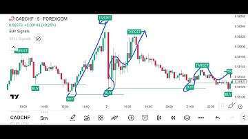 I Found a 4-in-1 Indicator That Replaced Most of My Tools! 