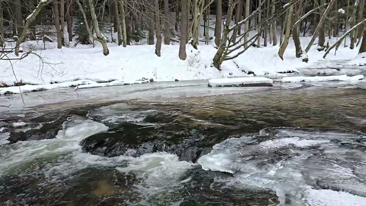 Rezerwat przyrody Nad Tanwią/ Roztocze/ luty 2026r. #wędrówkipopolsceinietylko #Roztocze #lubelskie 