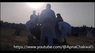 چھٹ پروگرام مرید چکوال 21/09/2025 ملک اعجاز اینڈ برادر (پہلی کگھی)