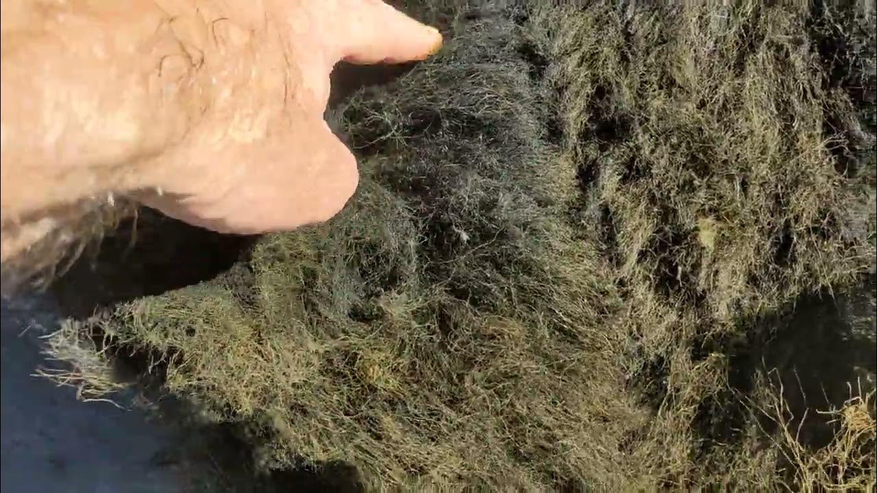 Photo Lab Inside a Steel Wool Silver Recovery Canister YouTube