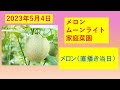 家庭菜園(20230504) メロン栽培  直播き当日  今年購入の種袋の紹介（ナント種苗 メロン ムーンライト）　とうもろこし　枝豆　　防虫ネット　ビニールトンネル
