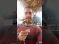 تين بسطة الموسم بسطة الموسم تين بلدي كفرا لبنان Fig Kafra Lebanon تين بسطة الموسم بسطة الموسم تين بلدي كفرا لبنان Fig Kafra Lebanon