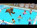 Swimming pool tiger prank gone wrong hindi kahani moral stories fake tiger prank funny comedy