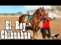 El Tarahumara &quot;The Cash Is Mine&quot; (El Rey De Chihuahua)🐴-Del Cerro Soy