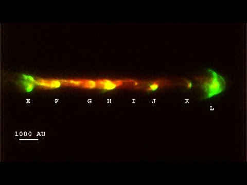 Телескоп «Хаббл» сфотографировал редкое космическое явление. (HH111)