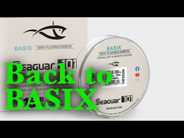 Seaguar BASIX - First Look beyond the hype 