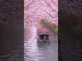Fushimi Jukkoku-bune Boat -🇯🇵