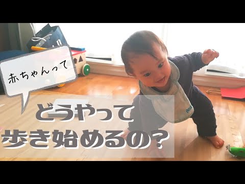 【０～１歳】赤ちゃんってどんな風に歩きだすの？