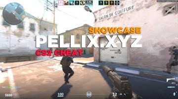 Cheating on CS2 Ft. pellix.xyz + Menu Showcase