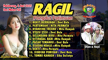 BUKIT BERBUNGA - STECU STECU - RAGIL PONGDUT