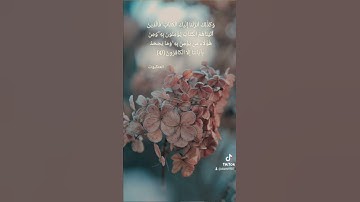 فالذين آتيناهم الكتاب يؤمنون به تلاوة الشيخ حمزة الفار