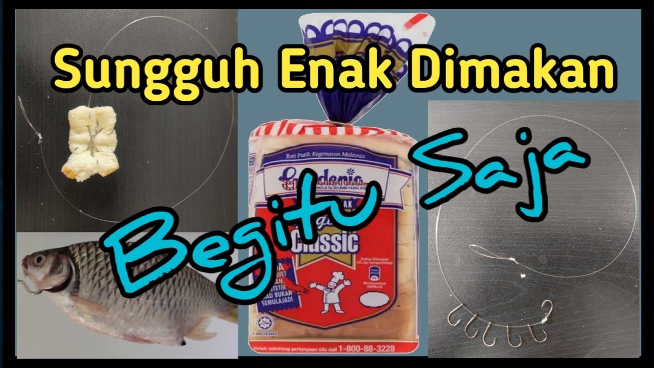 Cara Mengikat Perambut Dan Memasang Umpan Roti Untuk Memancing Lampam Sungai