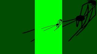 Spider Throwing Its Baby Green Screen Template