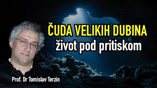 Tomislav Terzin - ČUDA VELIKIH DUBINA (ŽIVOT POD PRITISKOM)