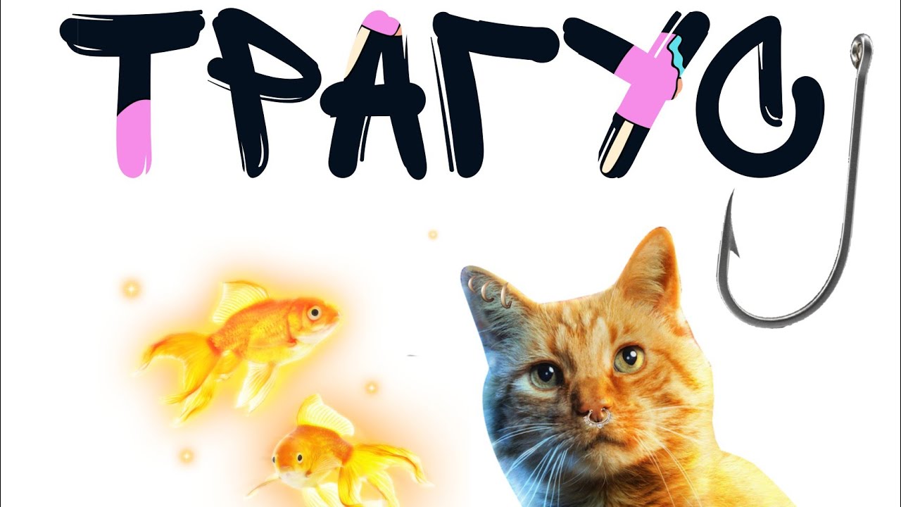 Как мы прокололи трагус.Прокол козелка уха - YouTube