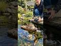 I Built a Tiny Rescue Ship for a Garden Pond. #rcboat #modelships #shorts