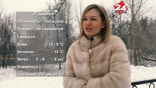 ПОГОДА НА ЗАВТРА. 26.12.2022