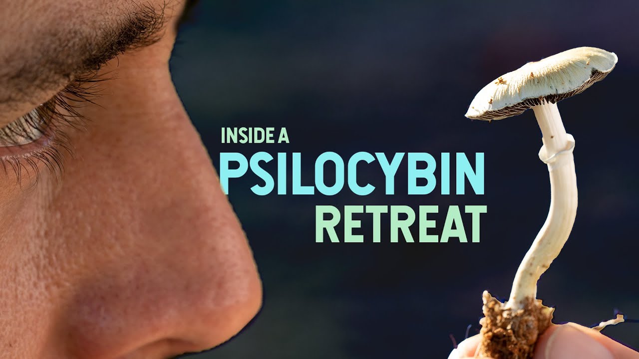 Inside a MAGIC MUSHROOM Retreat A Special Inside Look From Start to