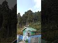 Lamahatta Eco Park Darjiling|Darjiling Distric Lamahatta| Lamahatta View Point #shortsfeed #Lamahata