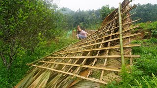 Take care of the chicks - The storm and wind blew the roof off the chicken house - Poor girl