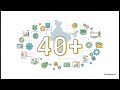 IPT Excel School: Professional Data Analytics and MIS Training