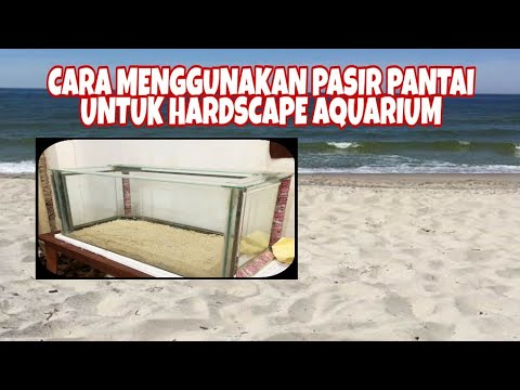 Cara menggunakan pasir pantai/laut untuk aquarium atau semi aquascape